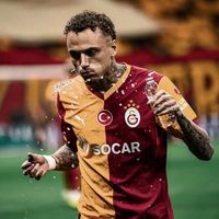 orijinal ses