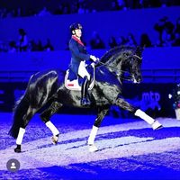 horse_agent_