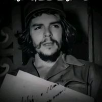 abbastareen77