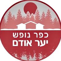 צליל מקורי