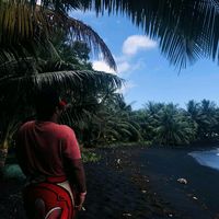 tapsss_4