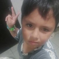 adel293792