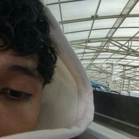 jerryxz_v