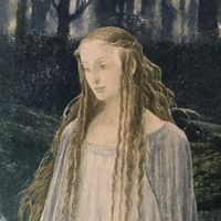 irisrcalori