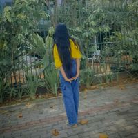 .shali1