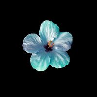 オリジナル楽曲 - ✰︎