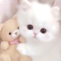 オリジナル楽曲 - 無
