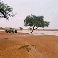 saleh_mro