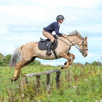 savanah_equestrian