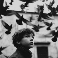 الصوت الأصلي