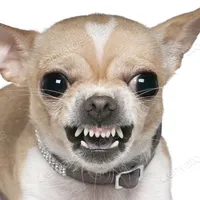 original sound - keenetic18