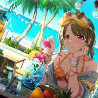 персы хонки