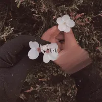 original sound - mehllikka