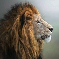 ravinatoursandtravel