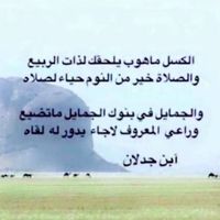 8rllz