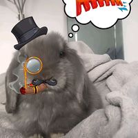 оригинальный звук