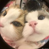 オリジナル楽曲 - munou 。