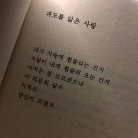 오리지널 사운드 - 當覇