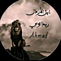 a.h.m.a.d160