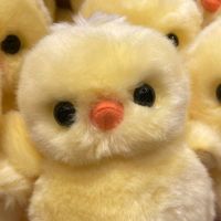 เสียงต้นฉบับ - 🍎  ฟู กิ  .🧩   𐙚  ̊+—̳͟͞͞🍅