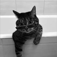 original sound - lacoste.o2