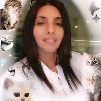 mahdiamahdia0mahdia