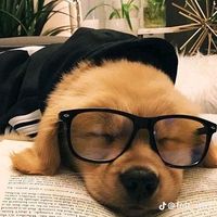 เสียงต้นฉบับ - support คู่จิ้นเตเตย♥️💐