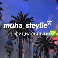 muha_steylle