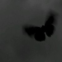 オリジナル楽曲 - 🥀💔