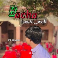 bacha__swabi_wall