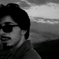 buzzzi_