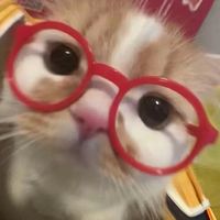 原聲 - 欸克斯๑⃙⃘ ́༥`๑⃙⃘