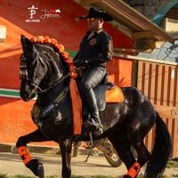 fernando16cardona