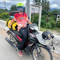 ptichaya4