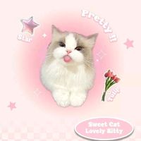 __single0