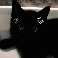 minni___15