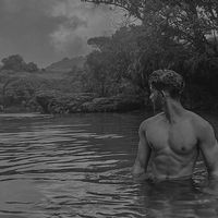 الصوت الأصلي