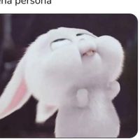 nopudedefrente