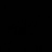 sarwat_masefi11