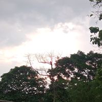 เสียงต้นฉบับ - ชื่อจริงตัวสุดท้ายคือดาไง🫧