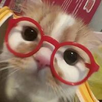 오리지널 사운드 - 햔