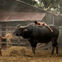 เสียงต้นฉบับ - ɪsᴀɴ ɢᴏsʜ🍃🌾