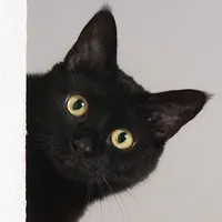 original sound - burmeseplaylist