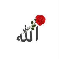 aroojfatima1292
