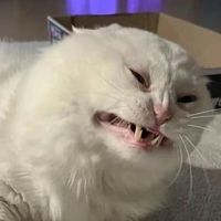 emo9396