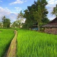suara asli - Dheon Landos