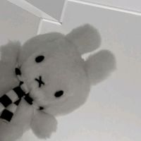 kiwi_kmchan
