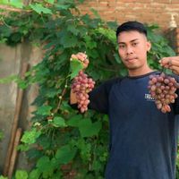 ubay.garden