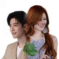 huang.linglsyl