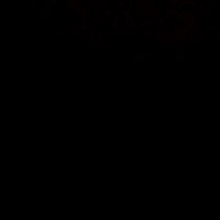 boody__elshazly